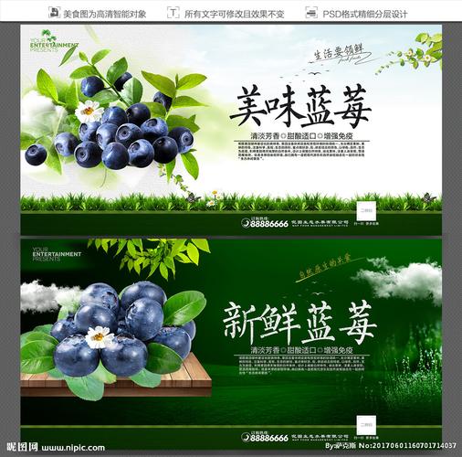 藍莓海報設計圖 國內廣告設計中的視覺美學與創意趨勢